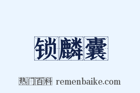 锁麟囊是什么意思的图片